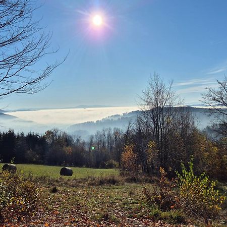 Apartament Mountains Gory Sowie Jugów エクステリア 写真