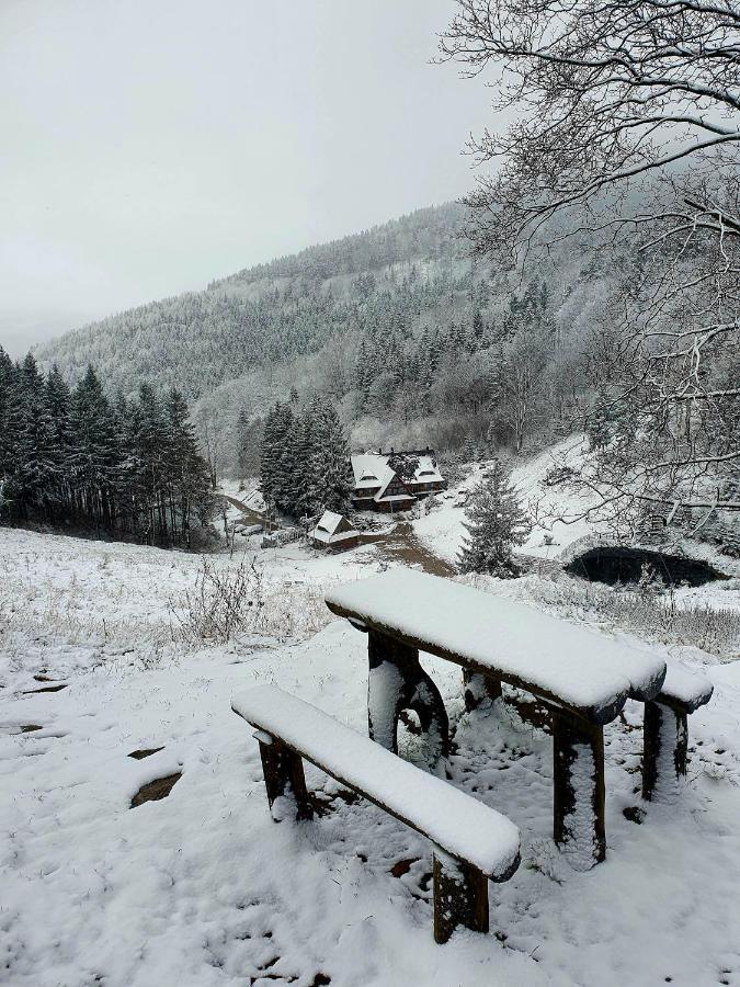 Apartament Mountains Gory Sowie Jugów エクステリア 写真