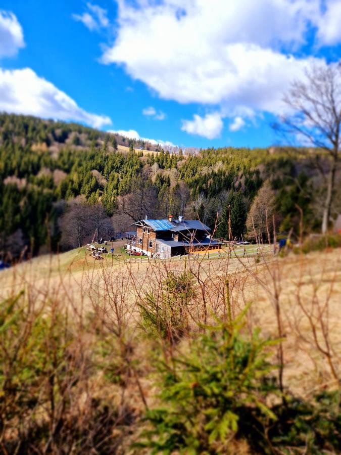 Apartament Mountains Gory Sowie Jugów エクステリア 写真
