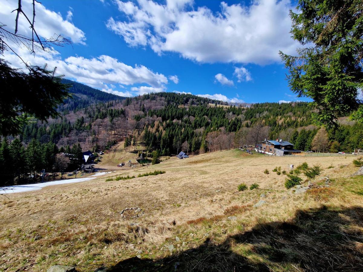 Apartament Mountains Gory Sowie Jugów エクステリア 写真