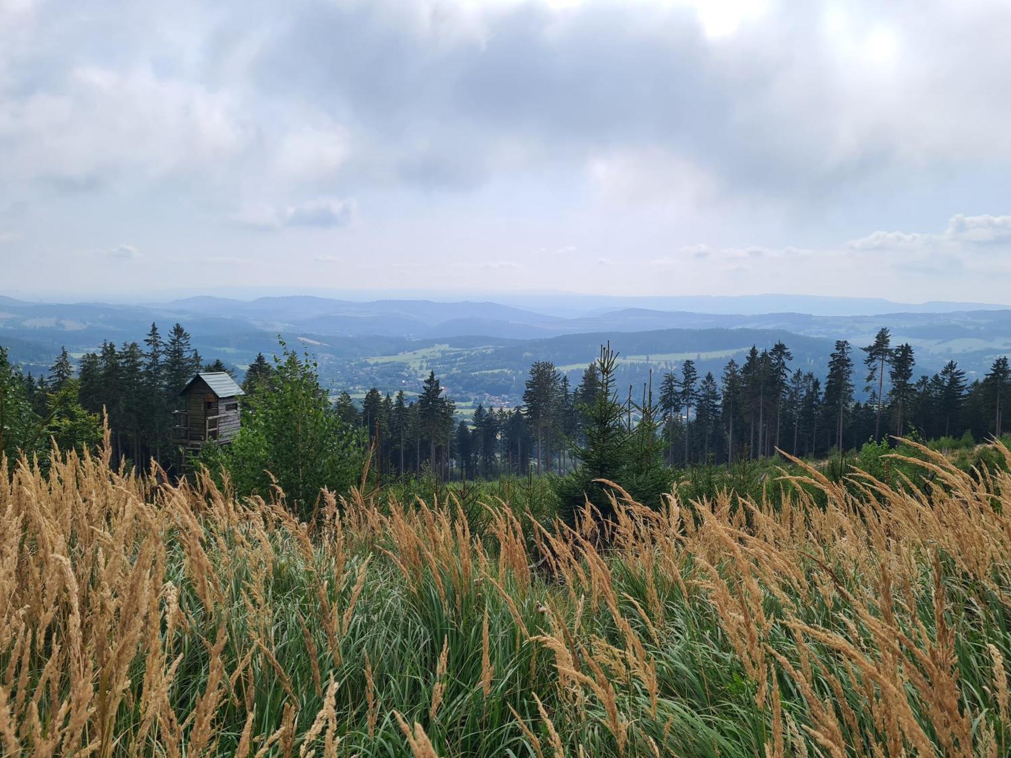 Apartament Mountains Gory Sowie Jugów エクステリア 写真